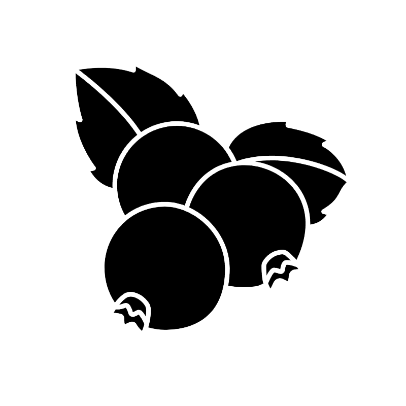 Iconographie